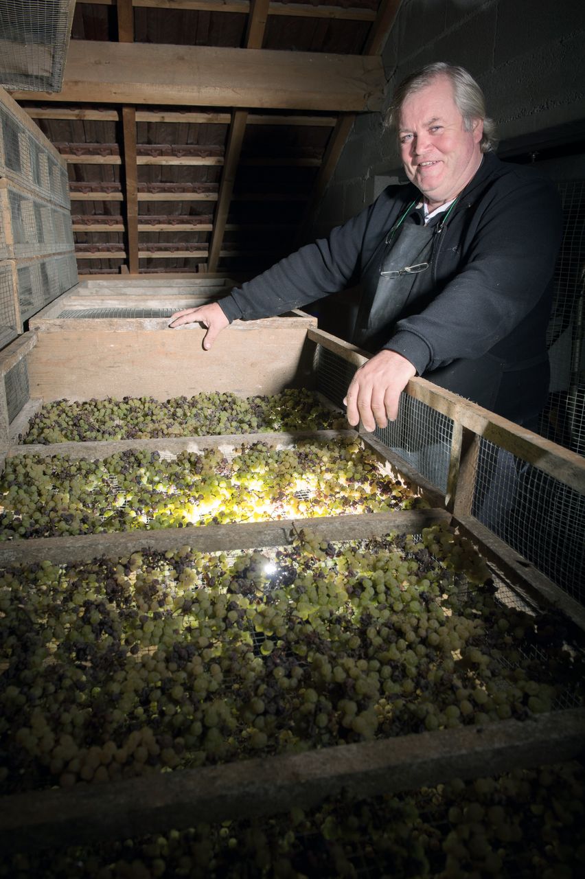 Vins Vigneron François Mossu Mossu-0004